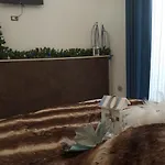 Acquazzurra *