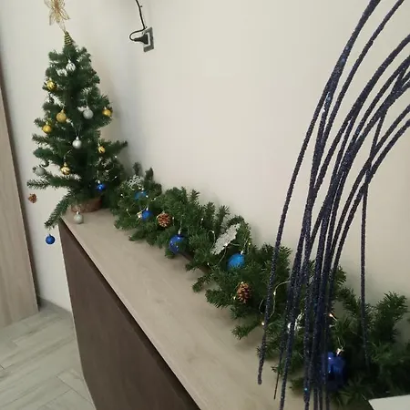 Acquazzurra アパート *