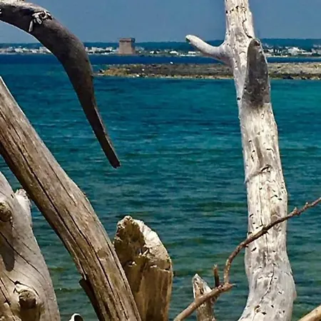 Acquazzurra アパート トッレ・ラピッロ